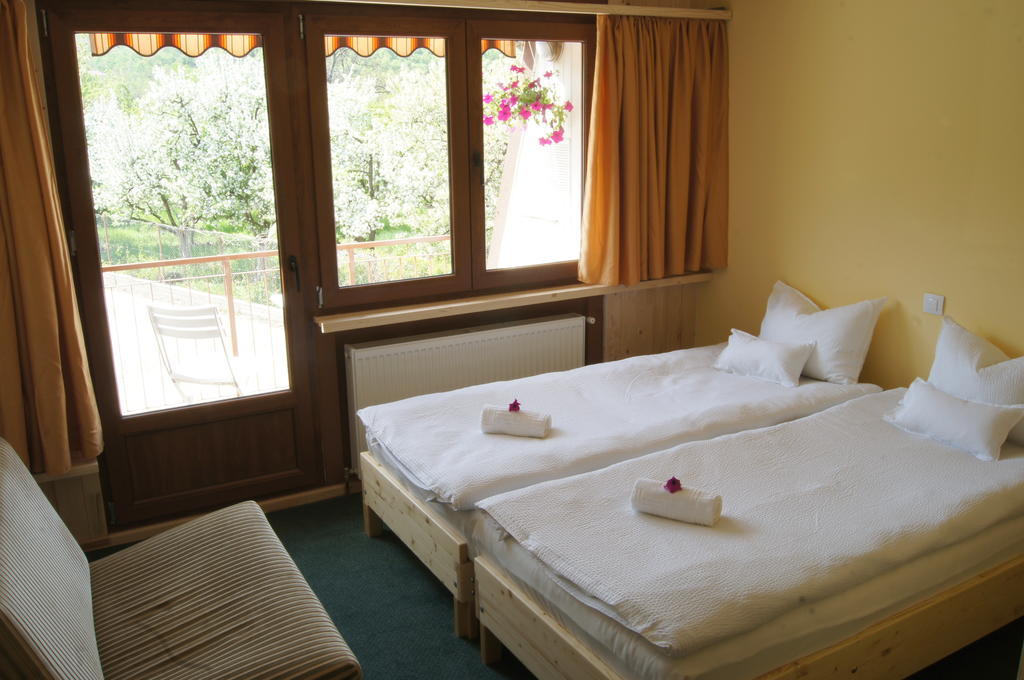 Pensiunea Valea Lupului Room photo