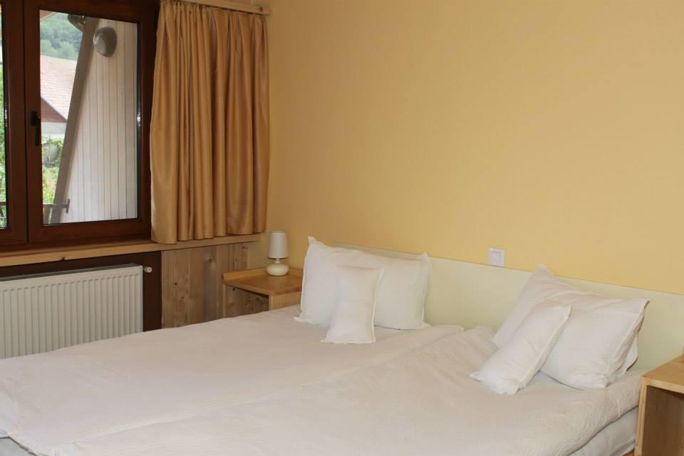 Pensiunea Valea Lupului Room photo